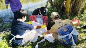 Kawanan Anjing Liar Serang Kakak-Adik di Polman, Warga Sempat Mengira Bangkai