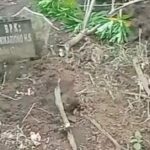 Puluhan Makam Berantakan di Batu, Juru Kunci Diduga Dalang Pengrusakan Nisan