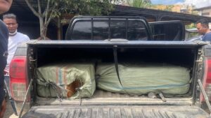 BNN Gagalkan Penyelundupan 200 Kg Ganja Jaringan Aceh-Medan, Tiga Tersangka Ditangkap