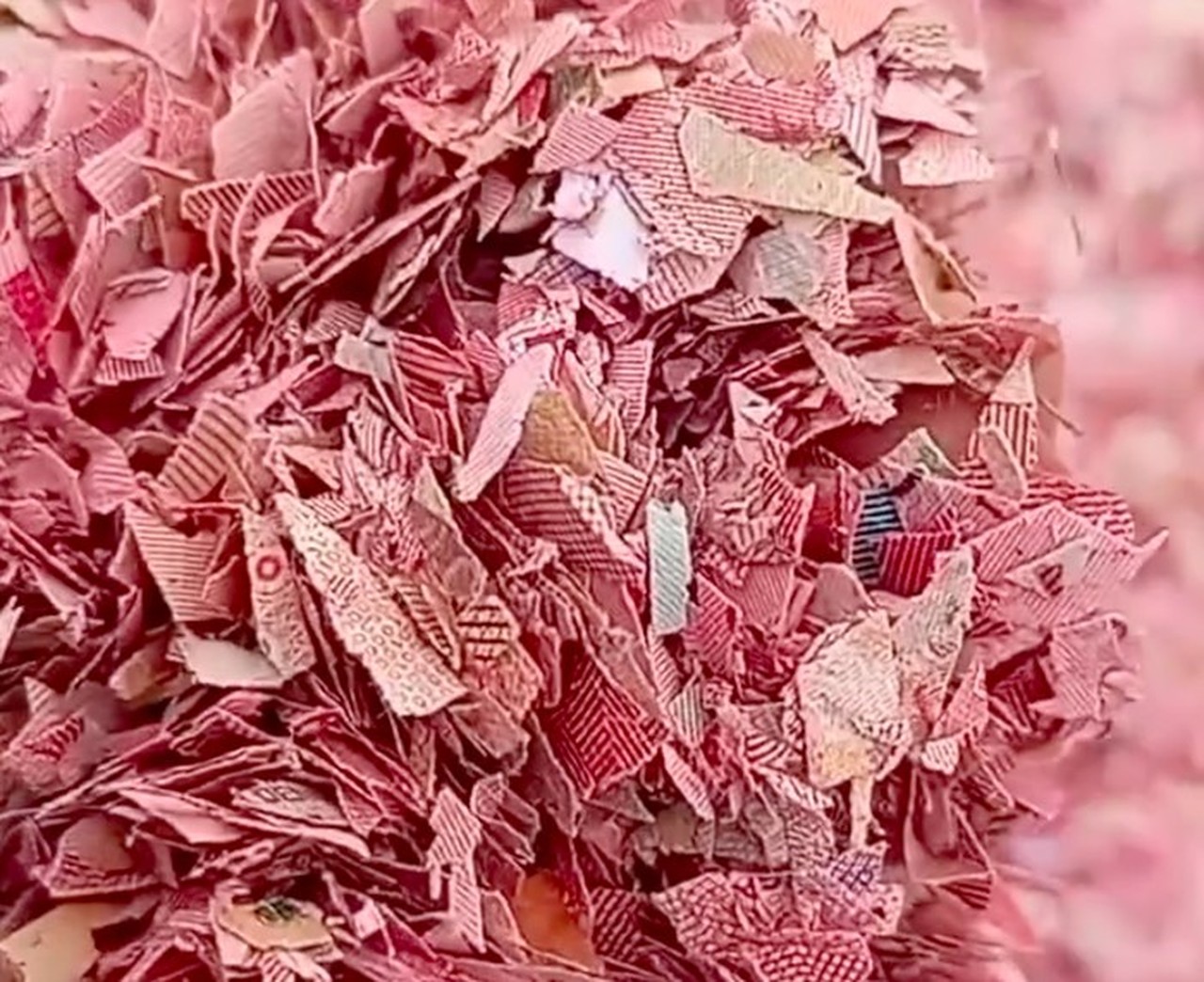 Cacahan Kertas Diduga Uang Rp 100 Ribu dan Rp 50 Ribu Ditemukan di TPS Liar Bekasi