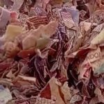 Warga Bekasi Heboh Temukan Ratusan Karung Cacahan Kertas Diduga Uang di TPS Liar