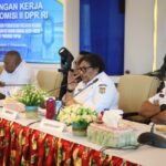 Wamendagri Ribka Haluk: PLBN Papua Harus Jadi Motor Penggerak Ekonomi Lokal