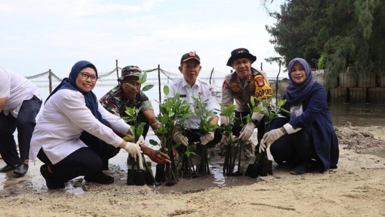 Polres Kepulauan Seribu dan Forkopimda Bersih-bersih Pantai dan Tanam Mangrove di Pulau Tidung Kecil