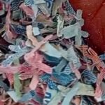 Misteri Cacahan Uang Rp 100 Ribu di TPS Liar Bekasi: Asal-usul Masih Jadi Teka-teki